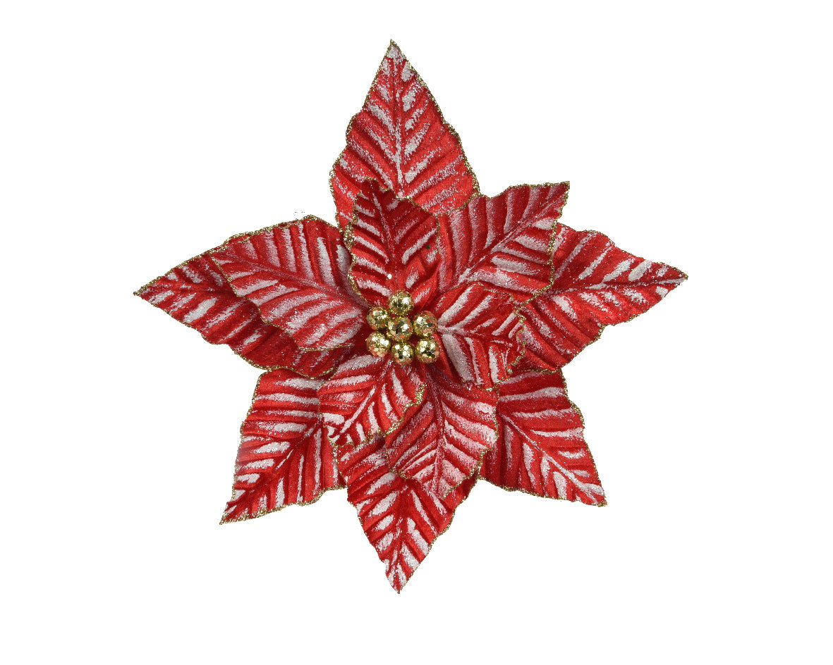 Stella Natale Rossa Bianca D 34x7 Cm