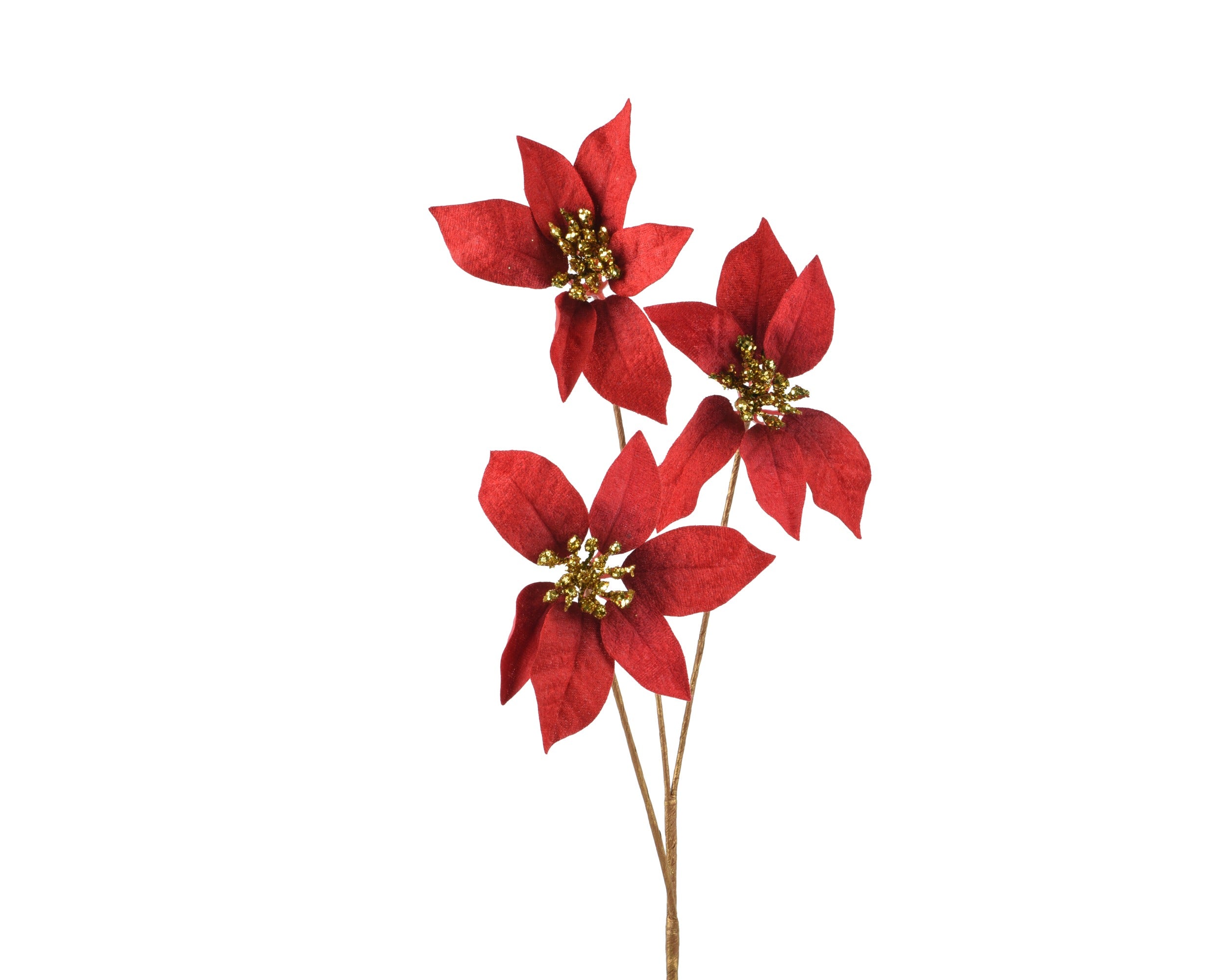 Ramo Stelle Natale Rosse Oro 60 Cm