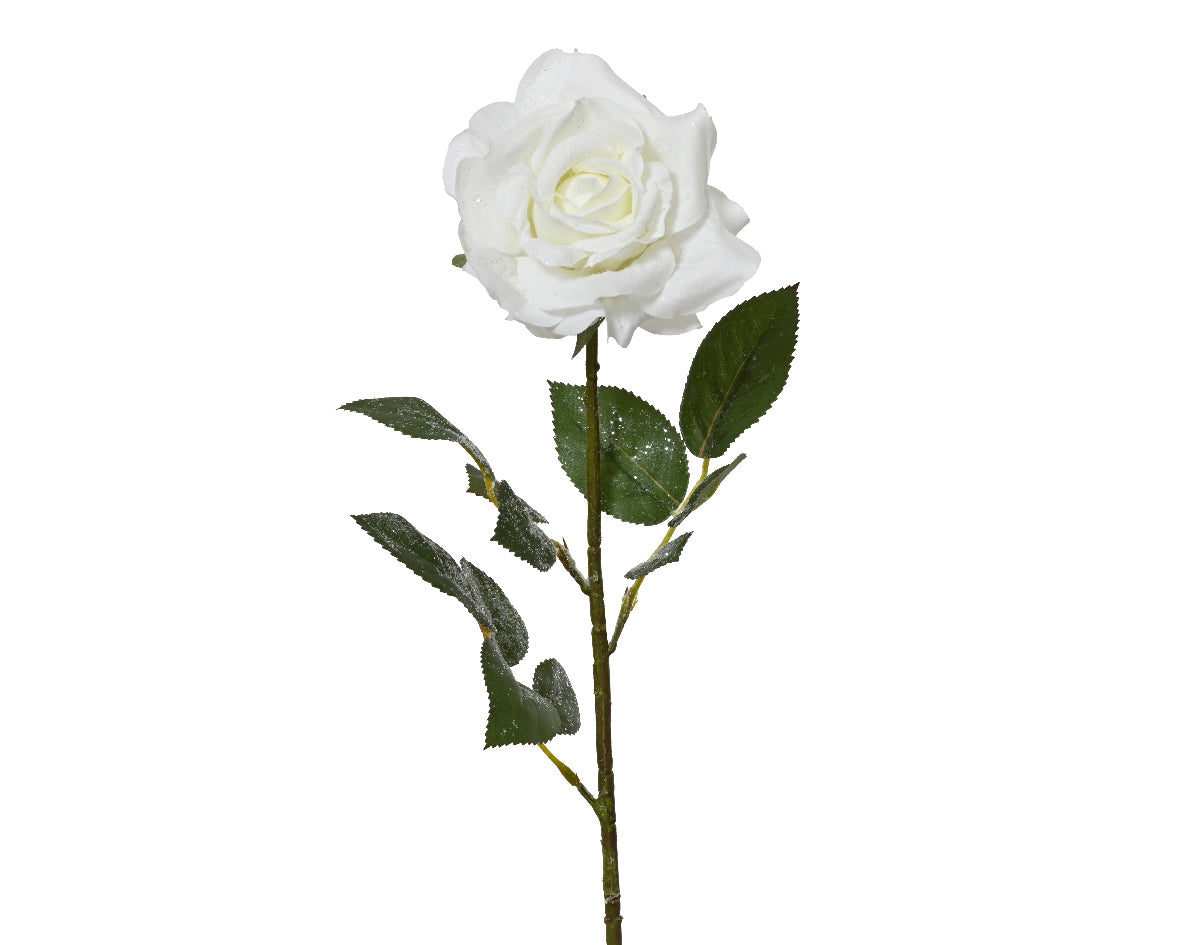 Rosa Bianca Finitura Ghiacciata 70 Cm