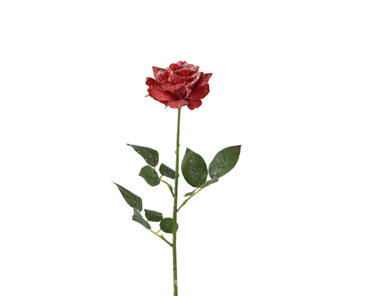 Rosa Rossa Finitura Ghiacciata 70 Cm