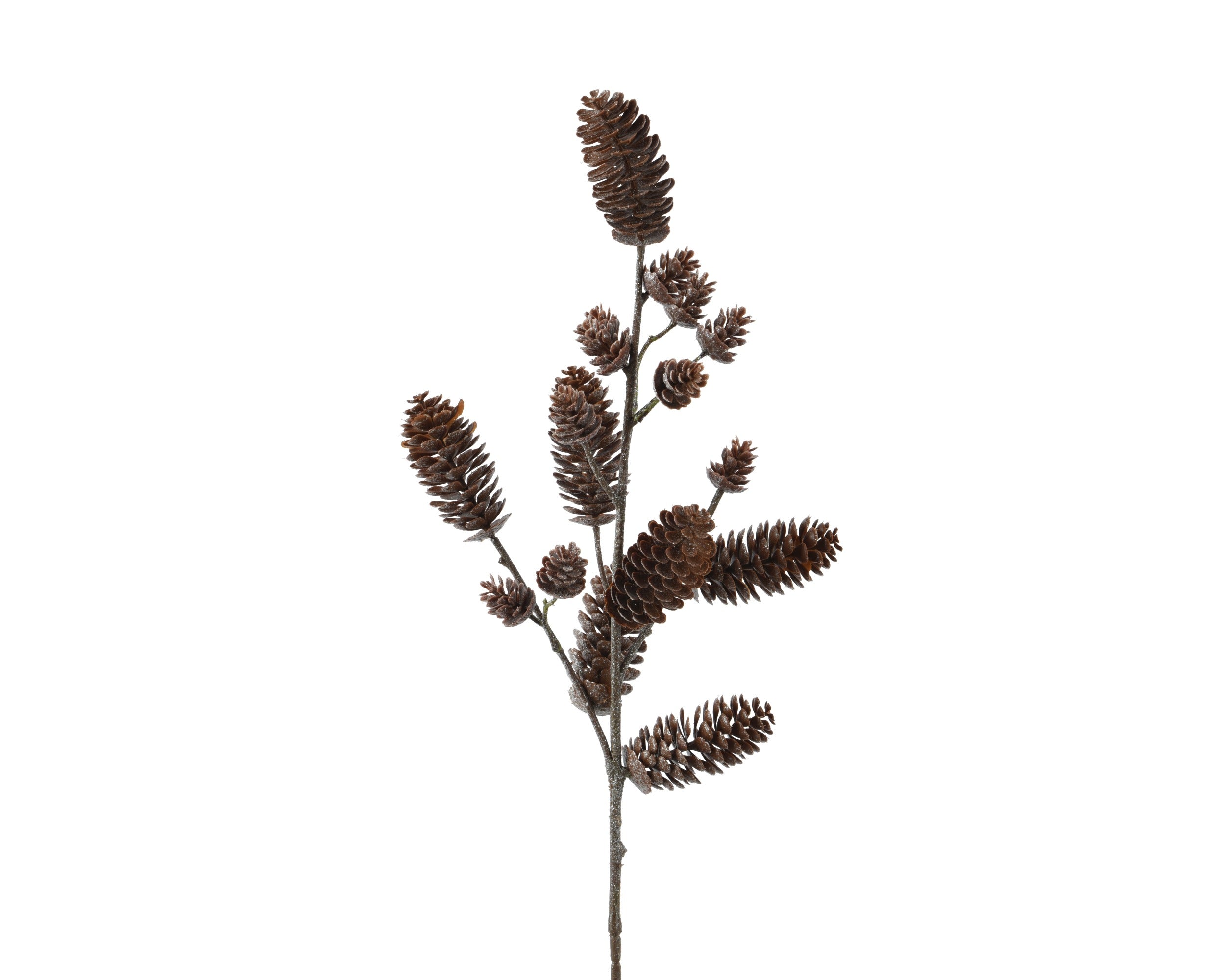 Ramo Pigne Marroni 70 Cm
