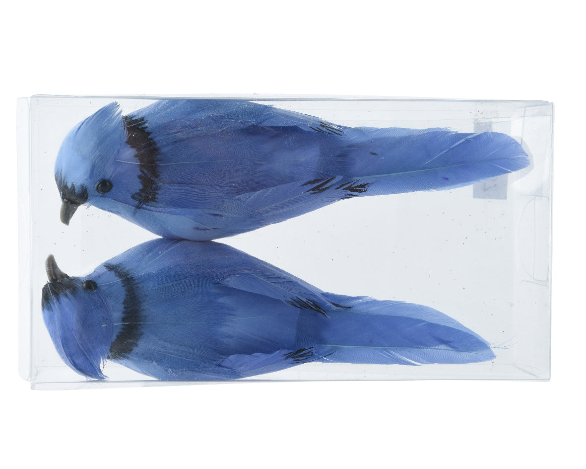 Set 2 Uccellini Clip Sky Blue 12x5x4 Cm