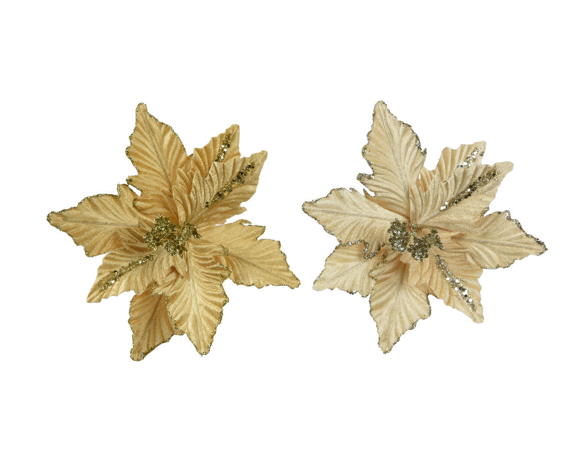 Stella Natale Oro D 24x7 Cm