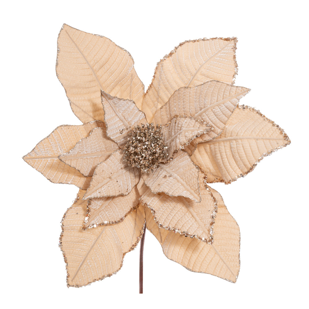 Stella Di Natale Champagne Gigante D 64x50 Cm