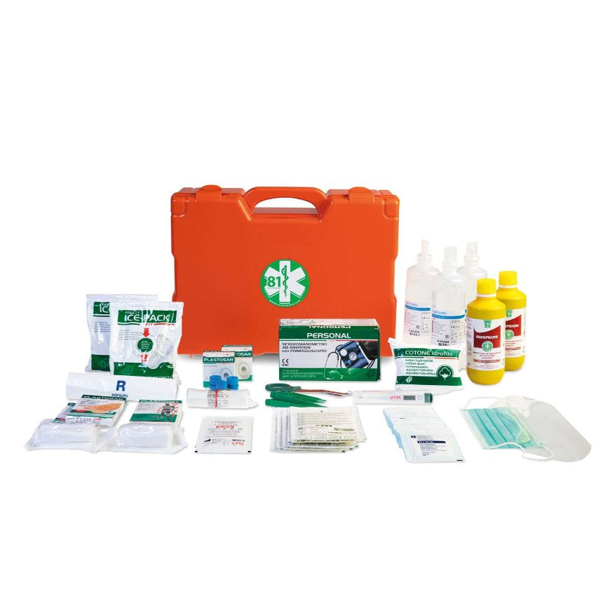 Logica Professional, Valigetta Pronto Soccorso arancione con contenuto completo per primo intervento, dotazione medicazioni, disinfettanti e dispositivi protezione - DeMatteis.it