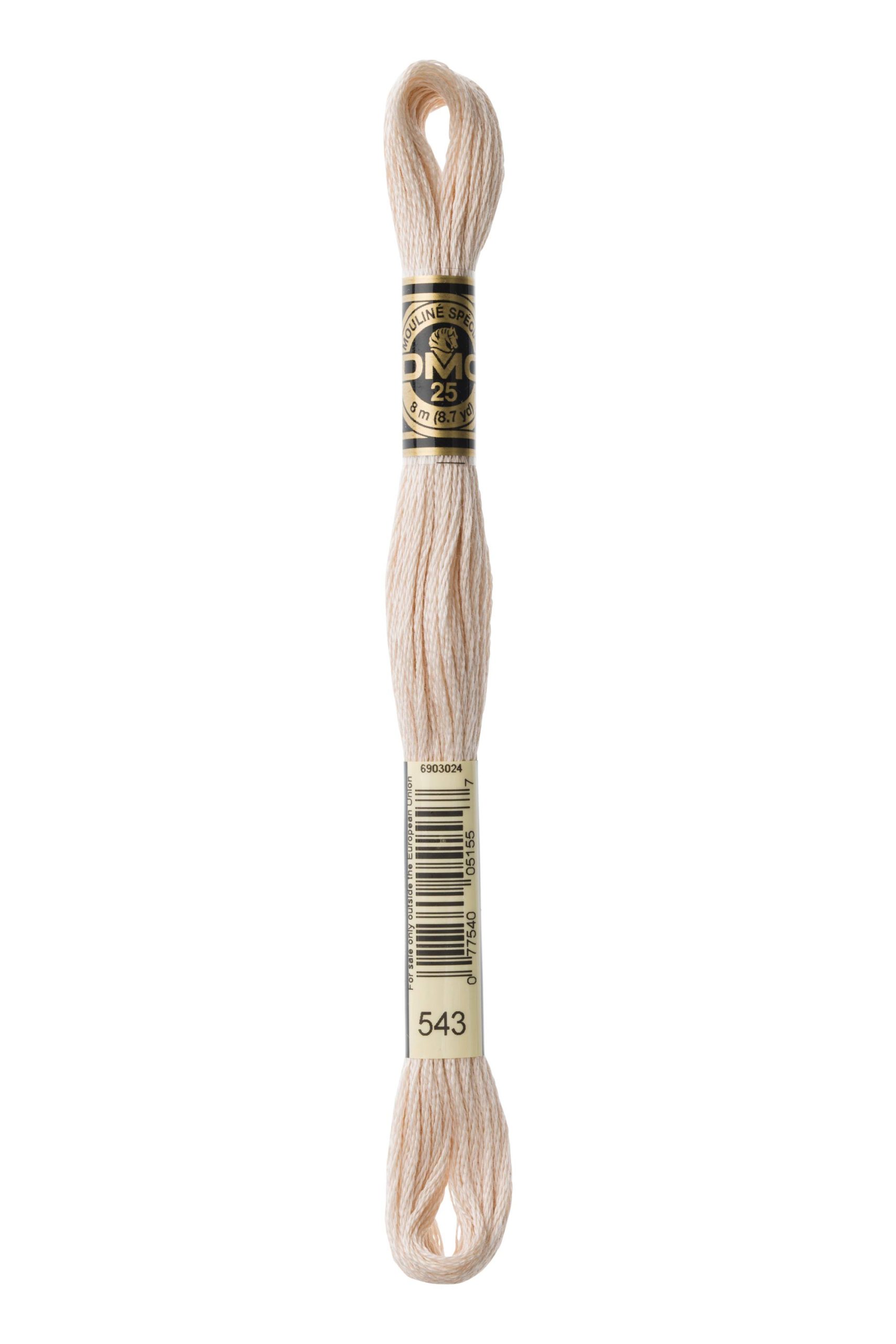 Cotone Dmc Da Ricamo Mouline Colore 543: Matassa di cotone mouliné adatta per attività creative di ricamo e uncinetto, disponibile in una vasta gamma di vivaci tonalità. | Dematteis.it
