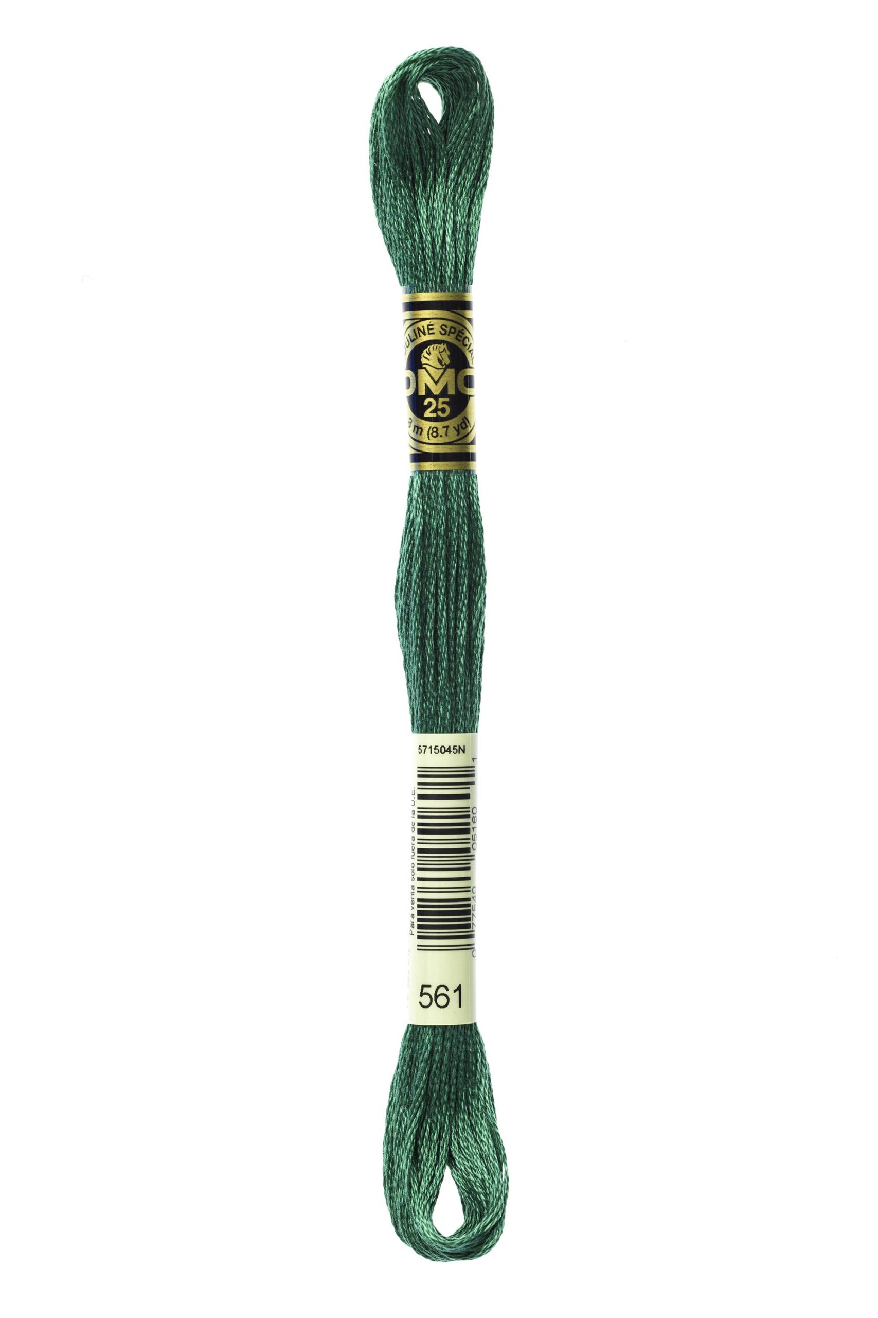 Cotone Dmc Da Ricamo Mouline Colore 561: Matassa di cotone multicolore per ricami e lavorazioni a punto croce, ideale per progetti creativi e decorativi. | Dematteis.it