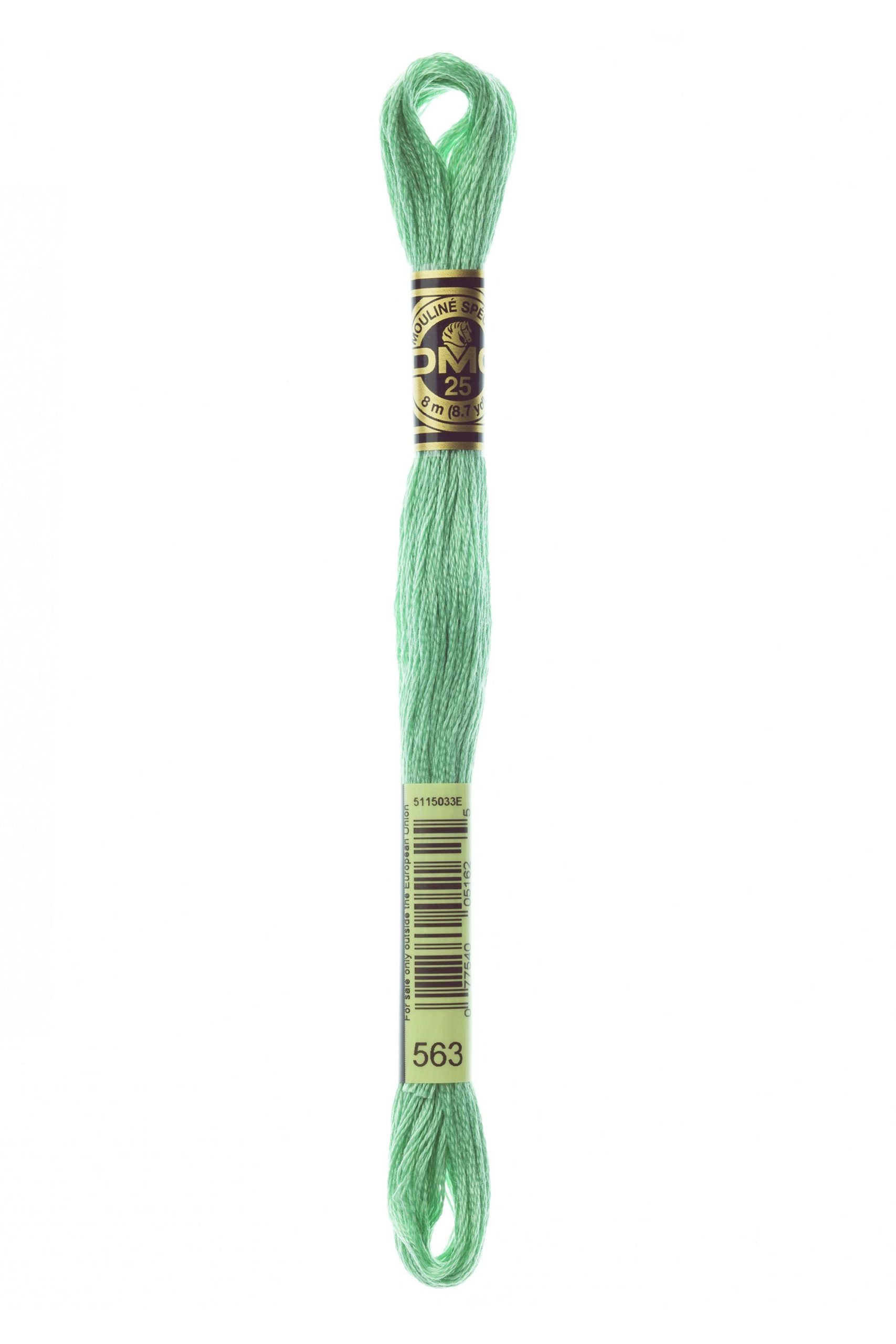 Cotone Dmc Da Ricamo Mouline Colore 563: Matassa di filato colorato adatto per il ricamo, ideale per progetti di cucito creativo e decorazioni tessili. | Dematteis.it