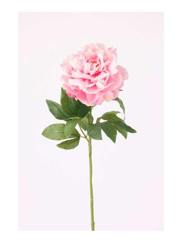 Peonia Spray Ramo 65 Cm Rosa