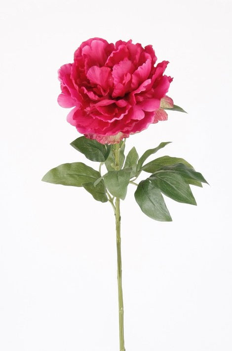 Peonia Spray Ramo 65 Cm Beauty