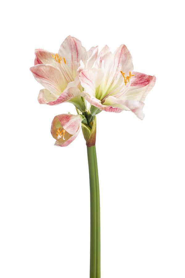 Amarillis Ramo 67 Cm Rosa - DeMatteis.it