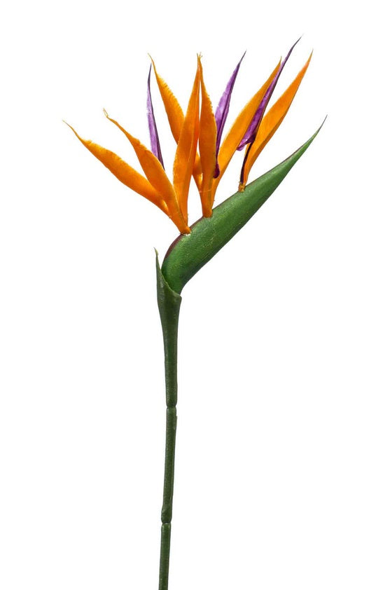 Strelitzia Spray 65 Cm Arancione