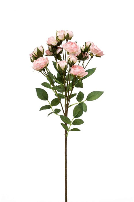 Ramo Mini Rose 57 Cm Rosa