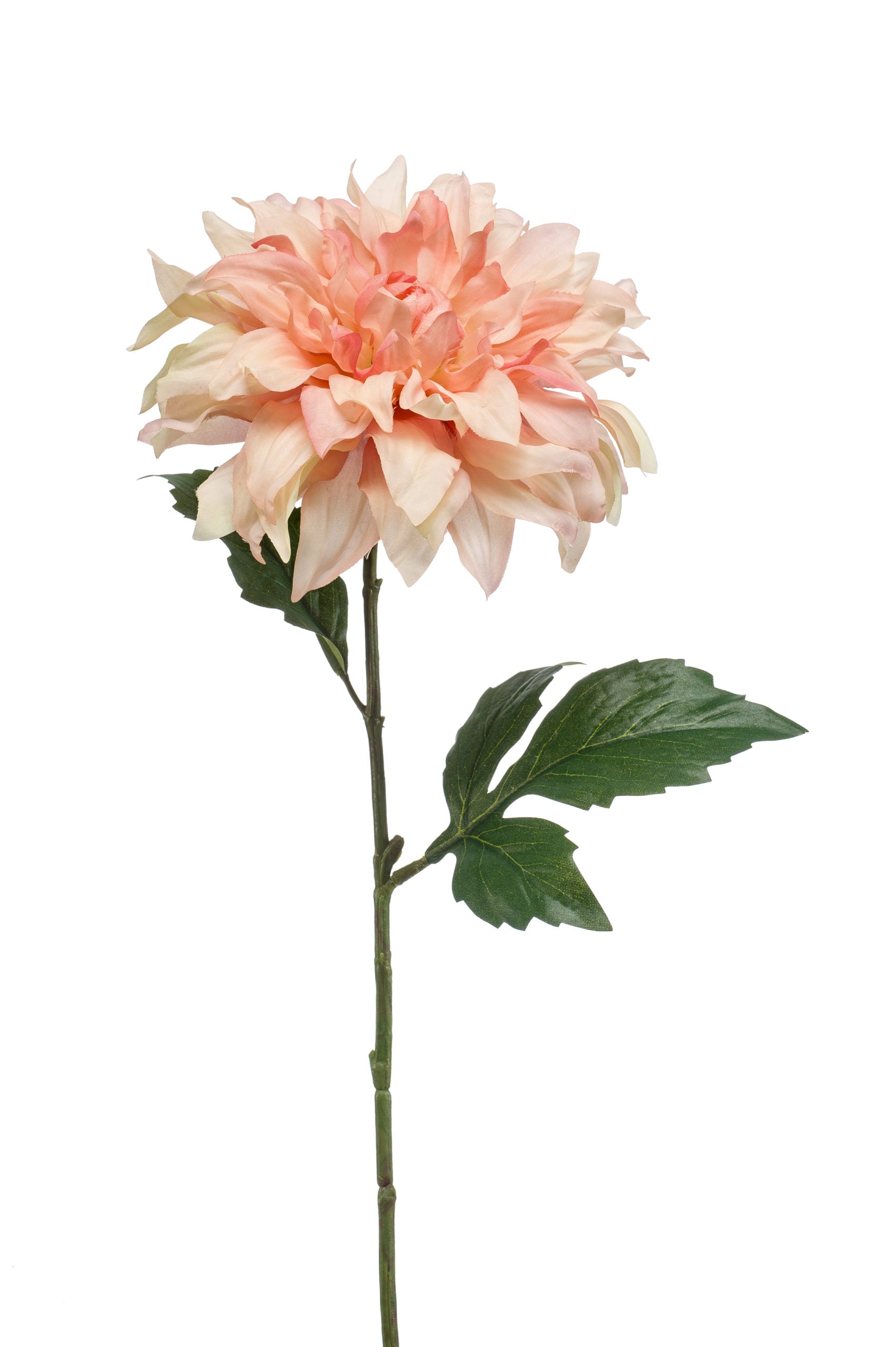 Homyu - Bouquet Di 10 Teste Di Dalia Finte In Seta - Fiori Artificiali Per Casa, Matrimoni, Feste - Colore Light Champagne - 4