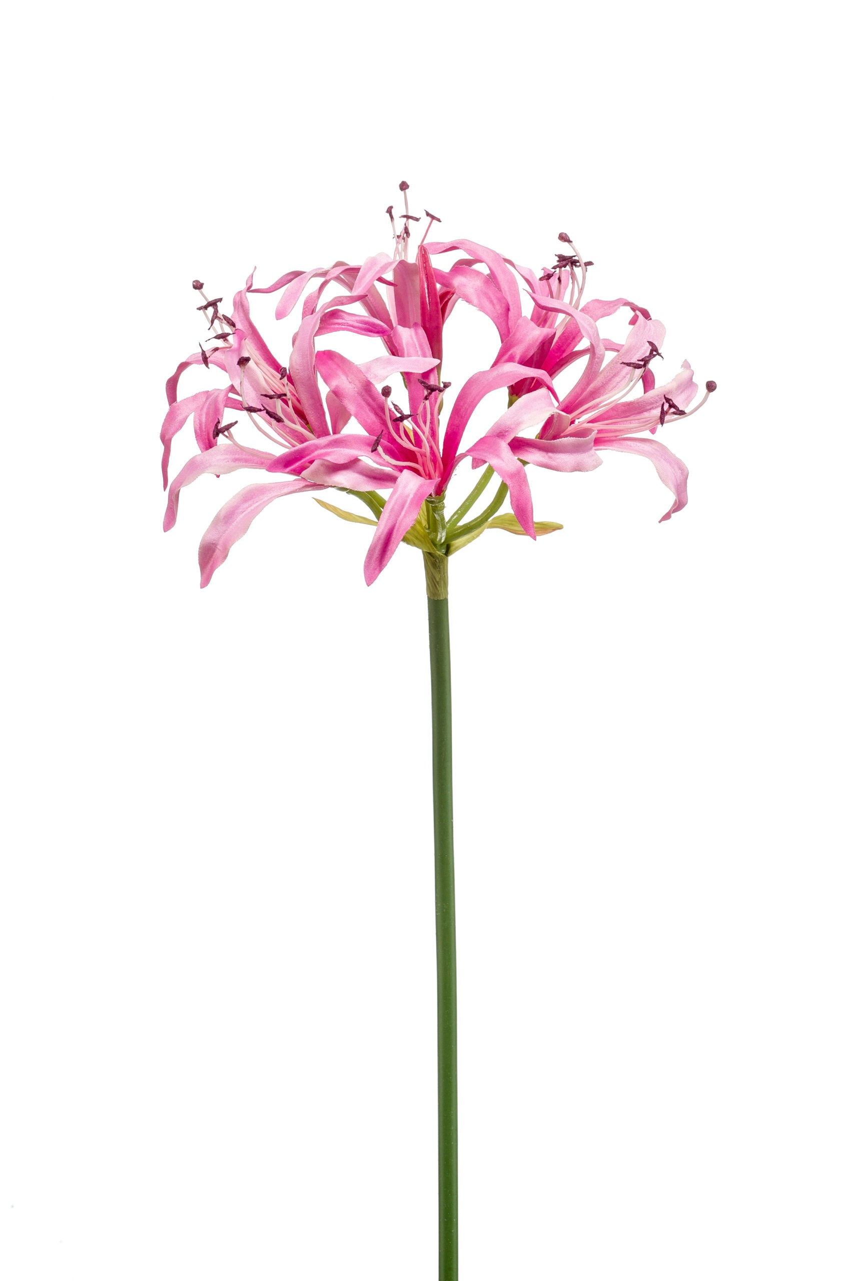 Nerine Fiore Finto Rosa 75 Cm