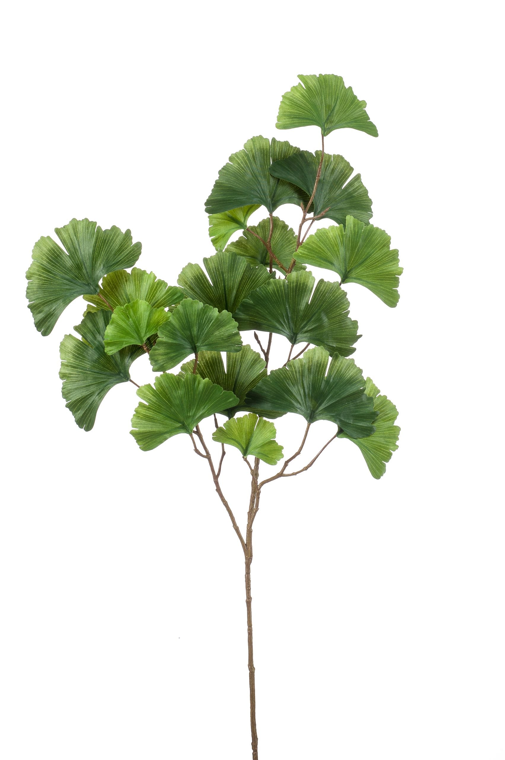 Ramo Foglie Di Ginkgo 88 Cm