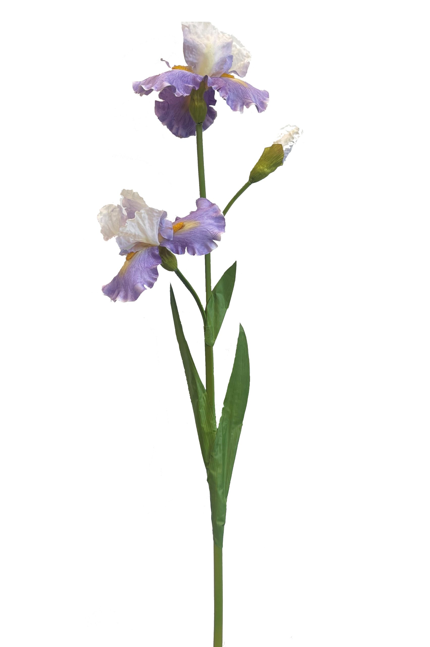 Ramo Fiori Iris Viola 98 Cm