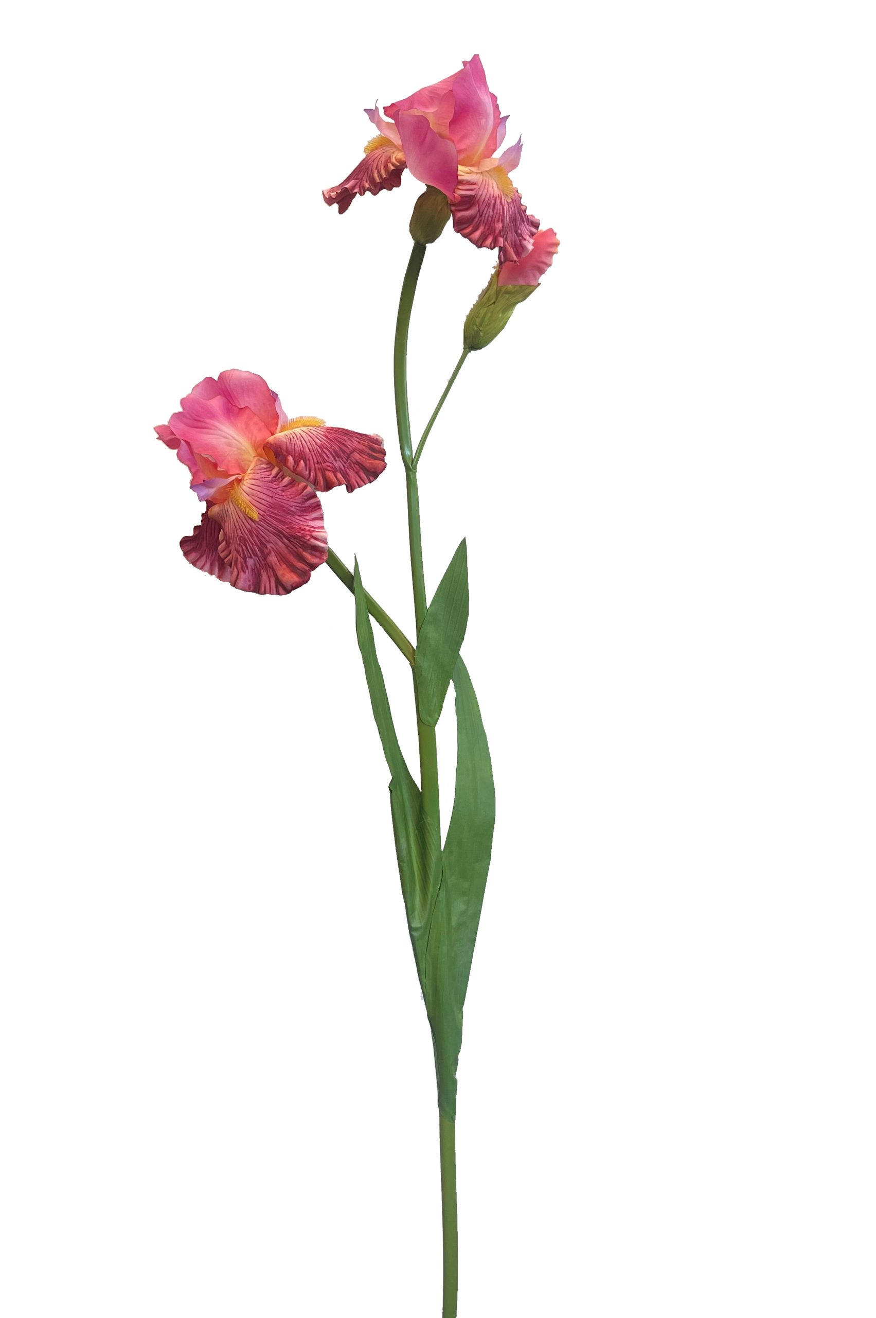 Ramo Fiori Iris Rosa 98 Cm
