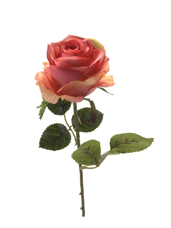 Rosa Simone Ramo 45 Cm Rosa - DeMatteis.it