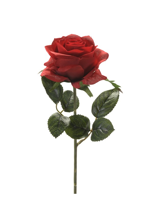 Rosa Simone Ramo 45 Cm Rosso - DeMatteis.it