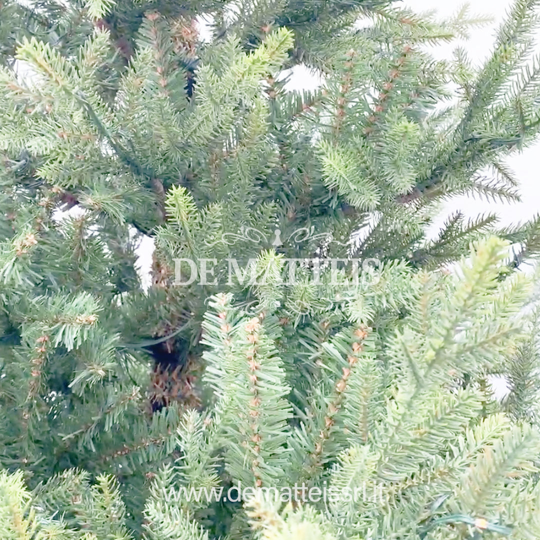 Albero Norway Spruce 180 Cm Verde