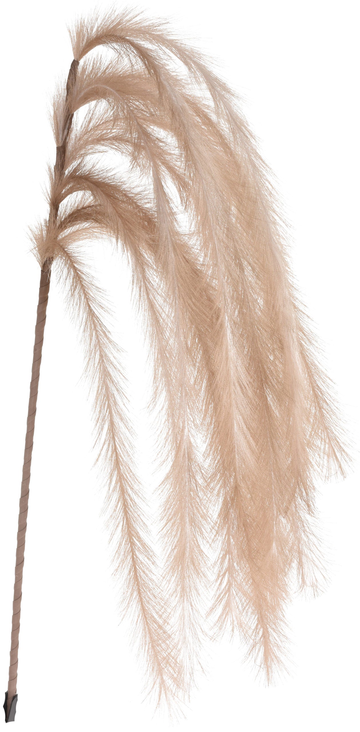 Ramo Piume 130 Cm Beige